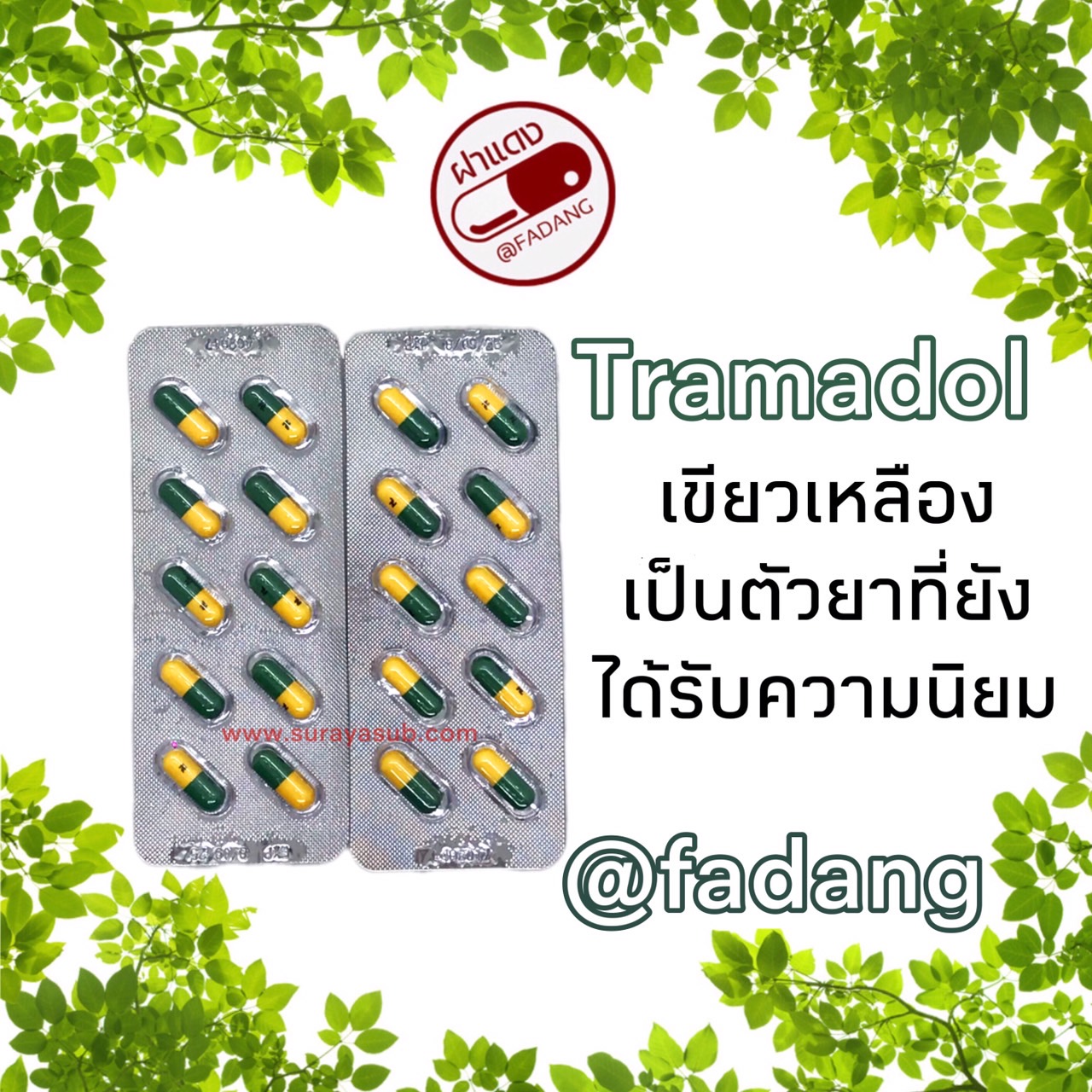 TRAMACAP tramacap